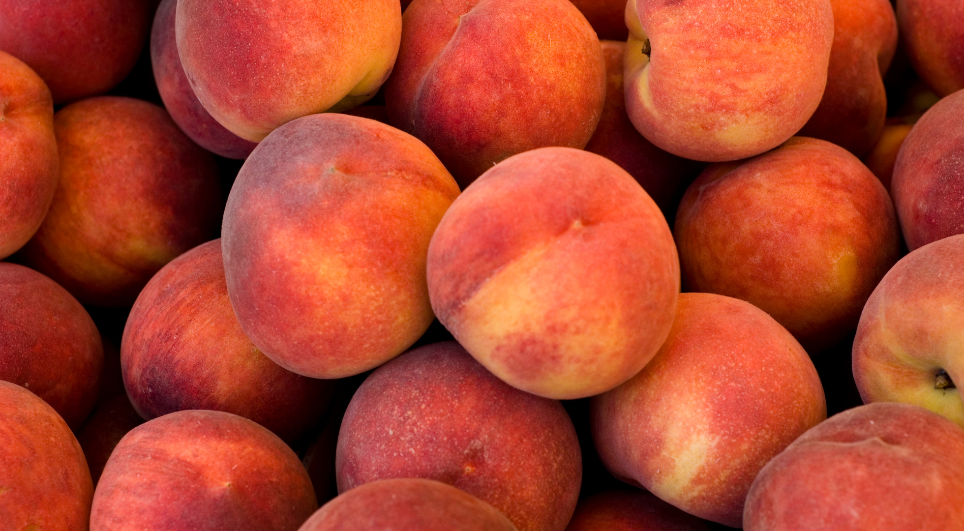 Fresh Local Produce in Idaho
